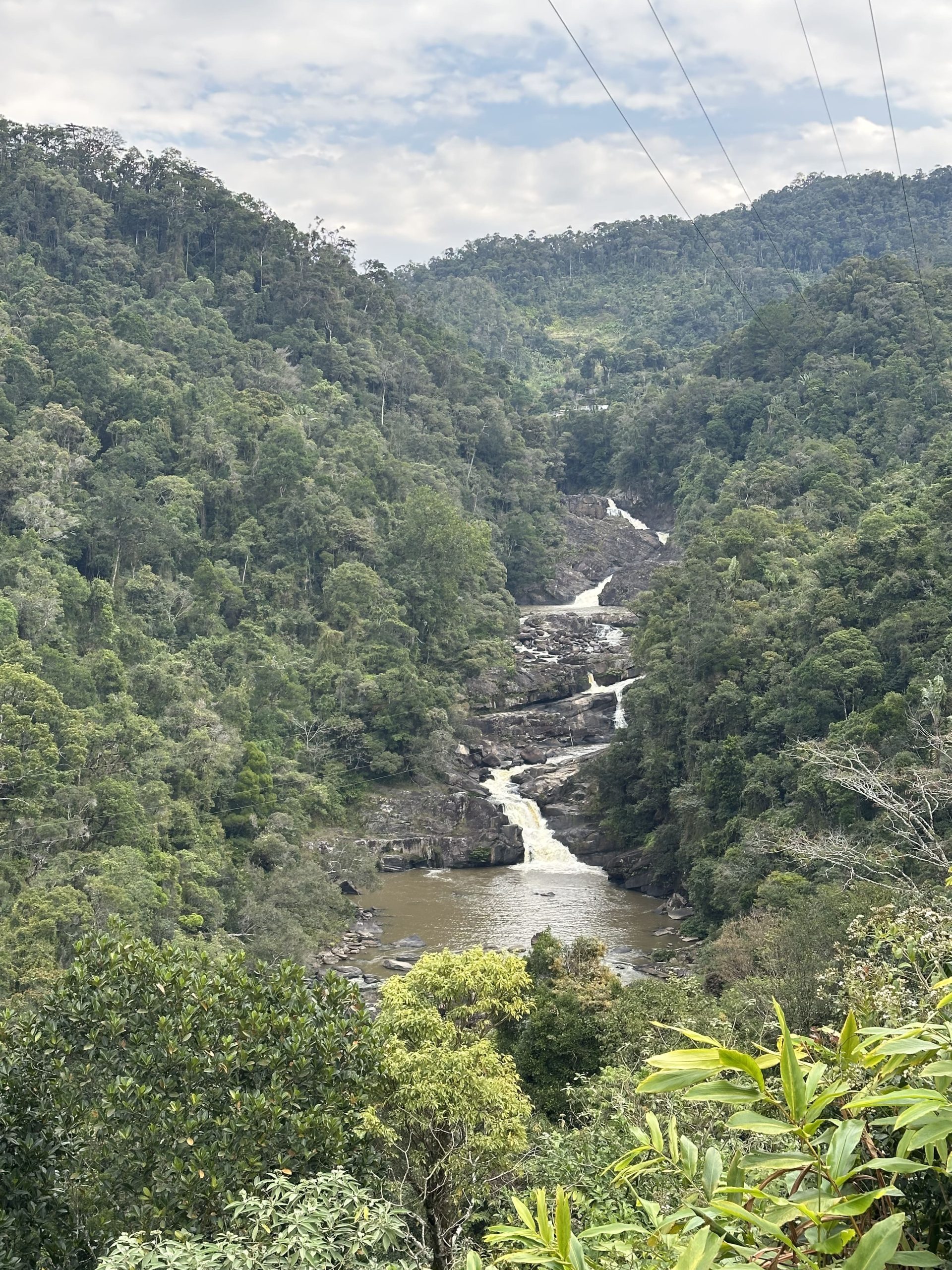 Selva tropical de Ranomafana