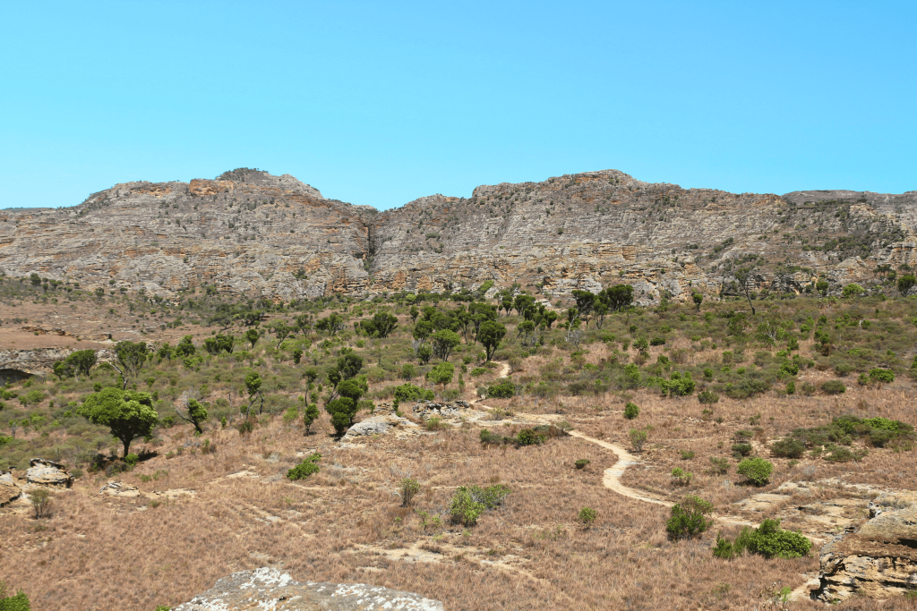 Isalo sabana
