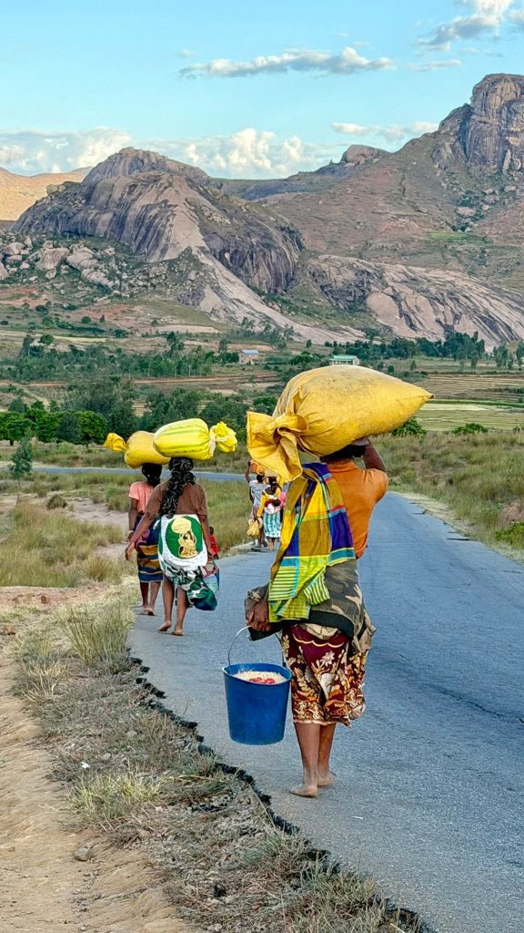 Mujeres Betsileo cerca de Ambalavao